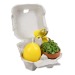 Le plaisir en boîte - avec set de plantation mini-pot en terre cuite, bougie ?uf, moule à gâteau ?lapin? cadeau d’entreprise