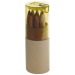 Paquet 12 crayons en bois de couleur cadeau d’entreprise