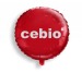 Ballon en mylar sur-mesure cadeau d’entreprise