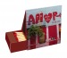 Boîte de 55 allumettes Maison cadeau d’entreprise