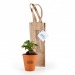 Bonsaï en pot terre cuite et sac prestige kraft cadeau d’entreprise