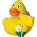 Canard voyage - MBW cadeau d’entreprise