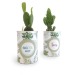 Canette avec plante poussée cadeau d’entreprise