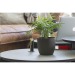 Coffee Flowerpot pot de fleurs, cache-pot publicitaire