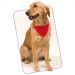 Collier Bandana pour animal cadeau d’entreprise
