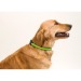 Collier réfléchissant pour animaux, collier pour chien publicitaire