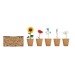  Kit de culture de fleurs cadeau d’entreprise