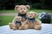 Peluche ours brun clair mumbles cadeau d’entreprise