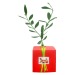 Plant d'arbre en cube cadeau d’entreprise
