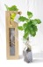 Plant d'arbre en sac à semer cadeau d’entreprise