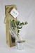 Plant d'arbre en sac kraft - Résineux, Arbre publicitaire