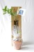 Plant d'arbre en sac kraft - Résineux cadeau d’entreprise