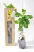 Plant d'arbre en sac kraft - Résineux cadeau d’entreprise