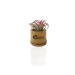 Miniature du produit Plante personnalisable déco dépolluante Tillandsia pot bambou 1