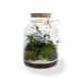Grand terrarium tropical cadeau d’entreprise
