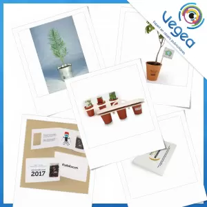 Végétaux, arbres, graines et plantes publicitaires, personnalisés avec votre logo