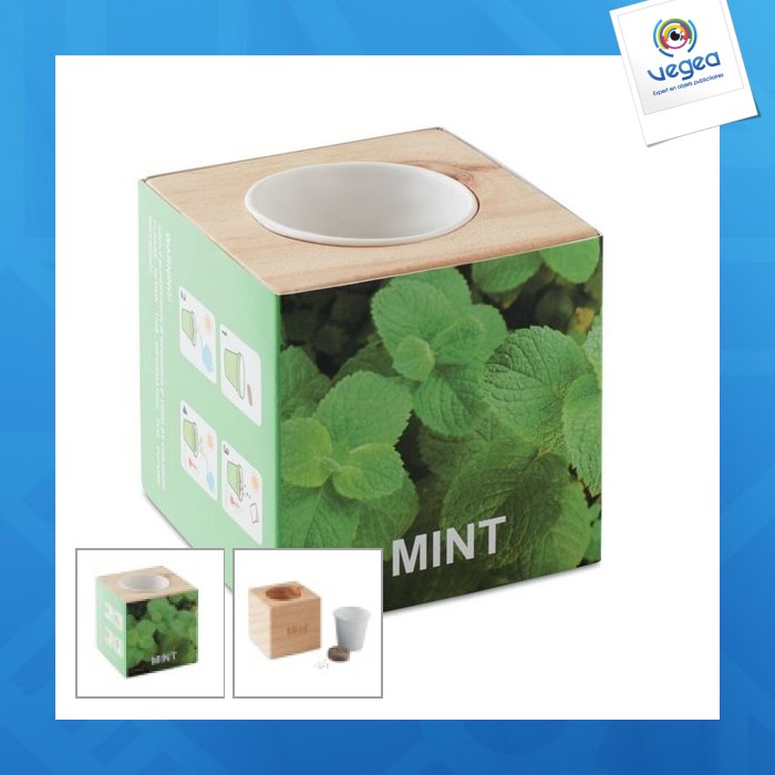 Pot en bois avec graine menthe