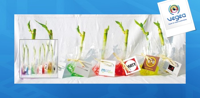 Canne chinoise papier fleuriste
