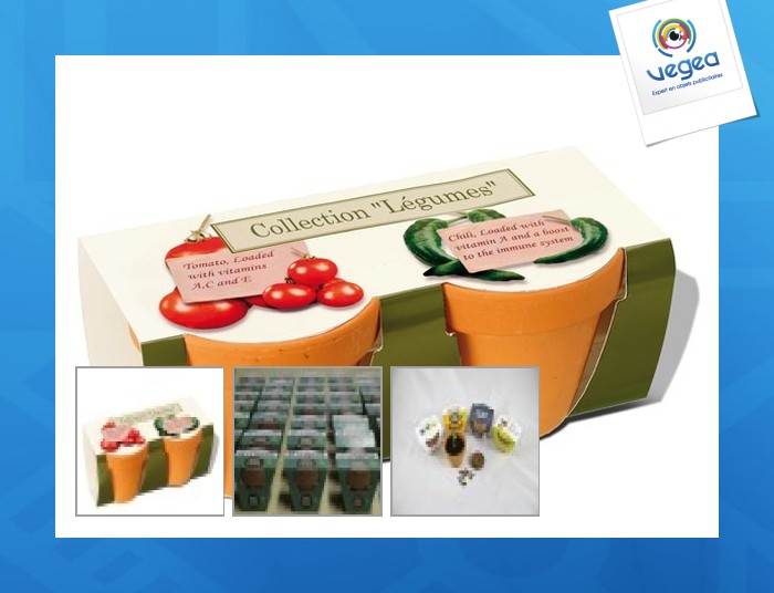 Set de plantation avec logo - pot en terre cuite 6cm
