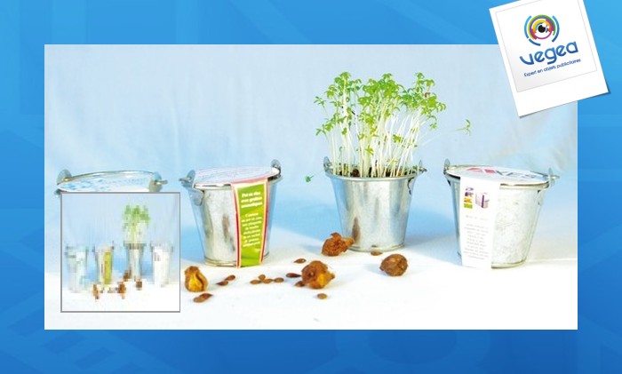 Kit de plantation publicitaire pot zinc 6cm