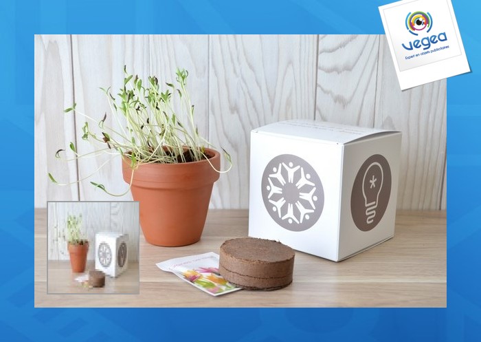 Cube de plantation 10cm
