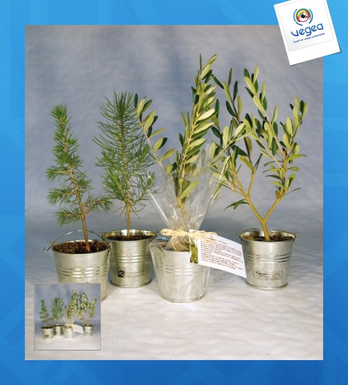Plant d'arbre en pot personnalisable zinc - prestige