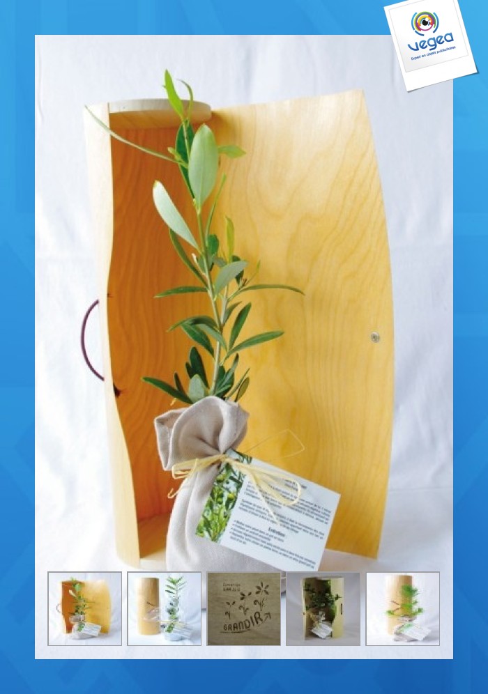 Plant d'arbre personnalisable en tube bois