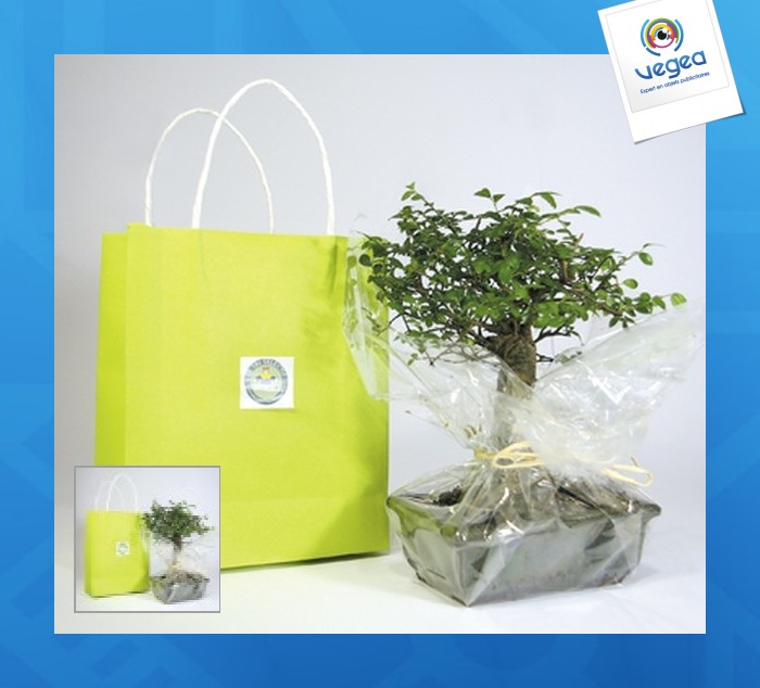 Bonsaï personnalisé en sac kraft