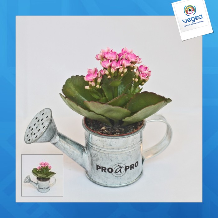 Arrosoir en zinc personnalisable avec mini plante fleurie