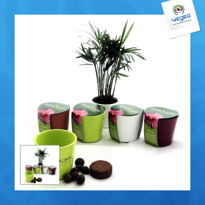 Kit de plantation publicitaire céramique