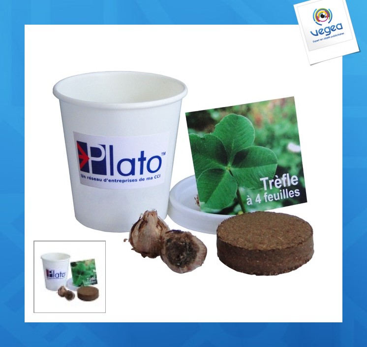 Kit plantation pot carton