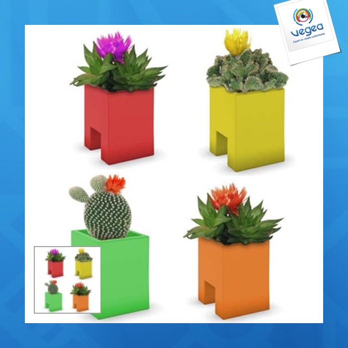 Pot'ordi - mini-plante personnalisée ordinateur