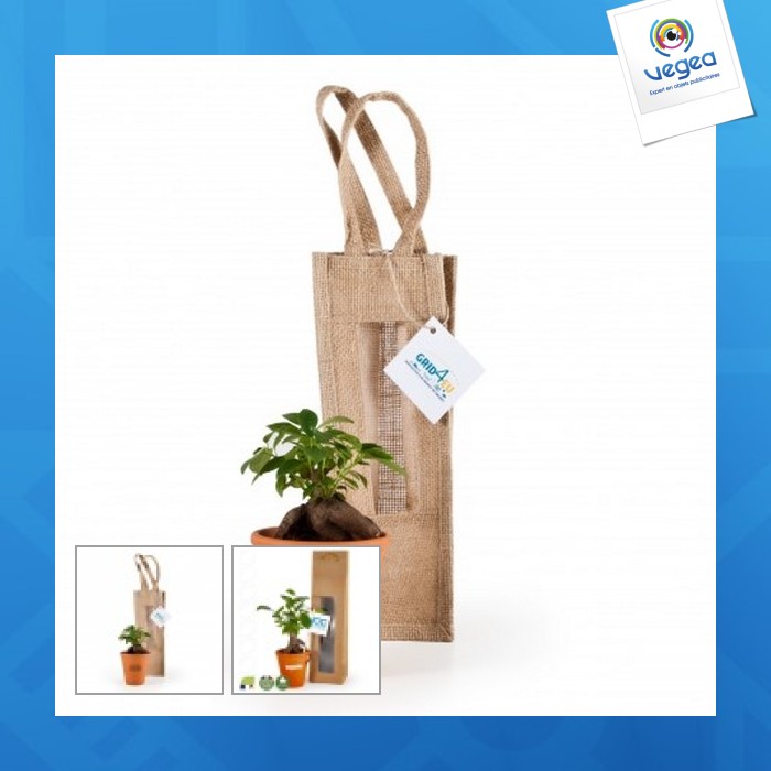 Bonsaï publicitaire en pot terre cuite et sac prestige kraft