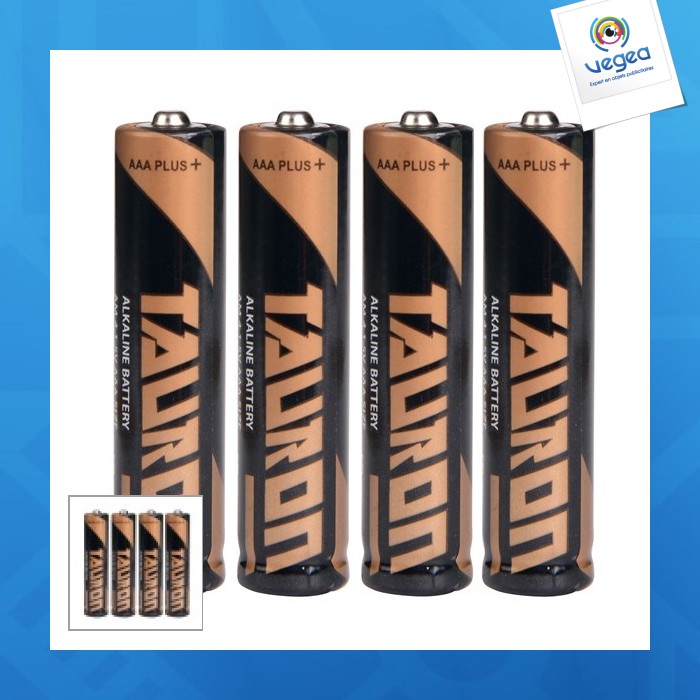 Batterie: micro 1,5 v (aaa/lr03/am4)