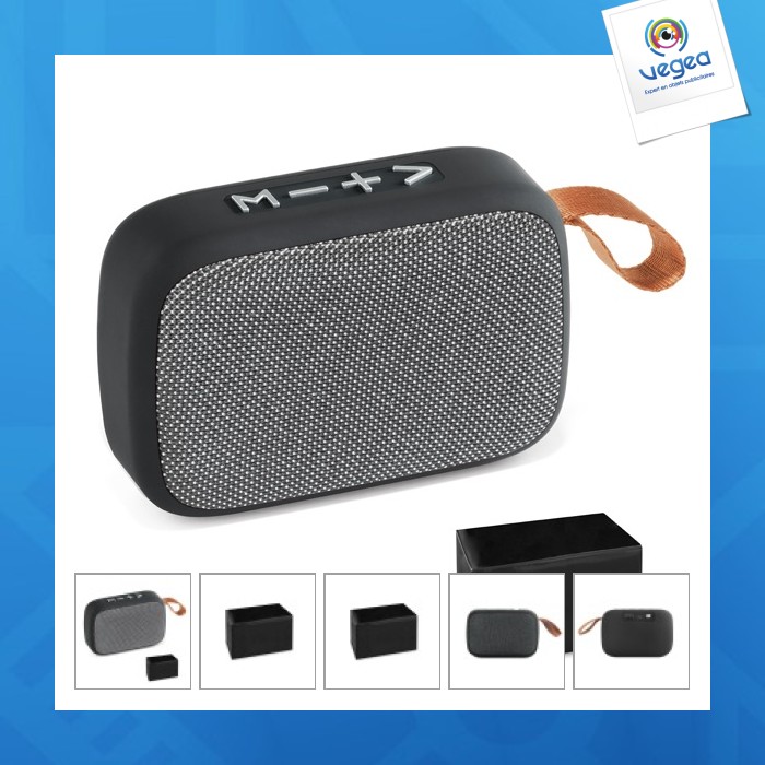 Gante. haut-parleur publicitaire portable avec microphone