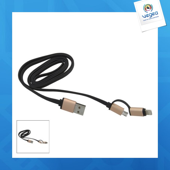 Cable usb personnalisable 2 en 1