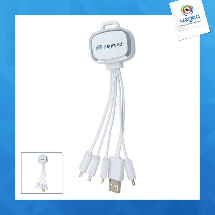 Cable de charge personnalisé usb 4 en 1