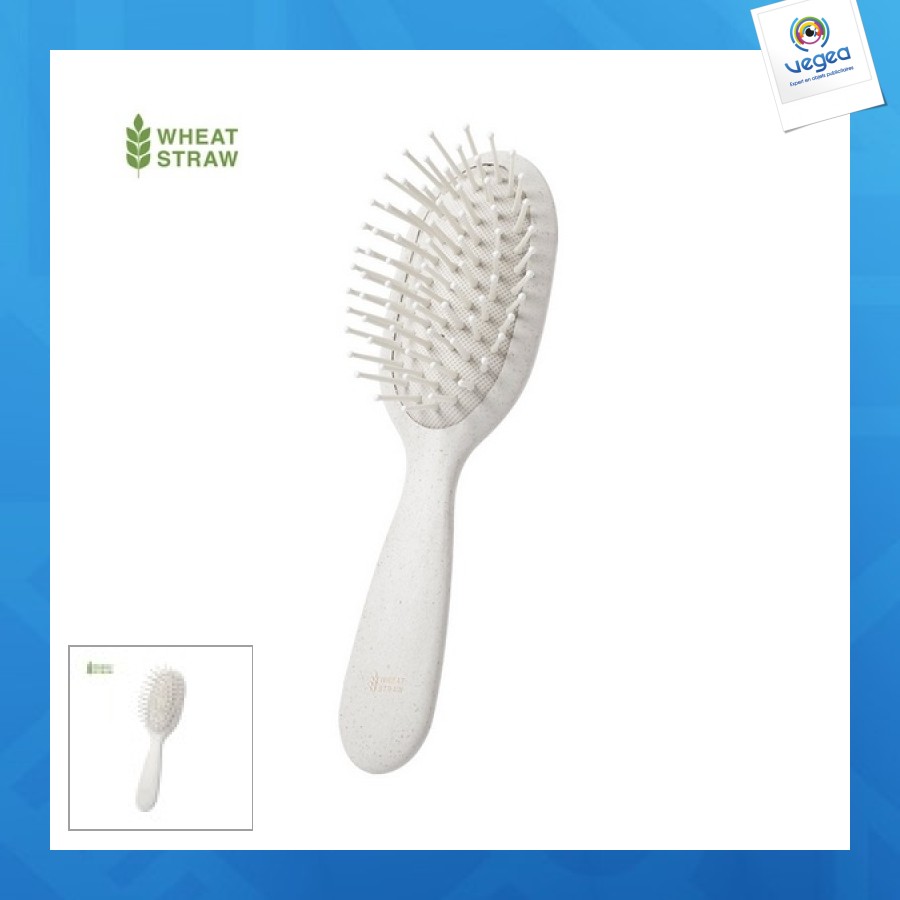 Petite brosse éco