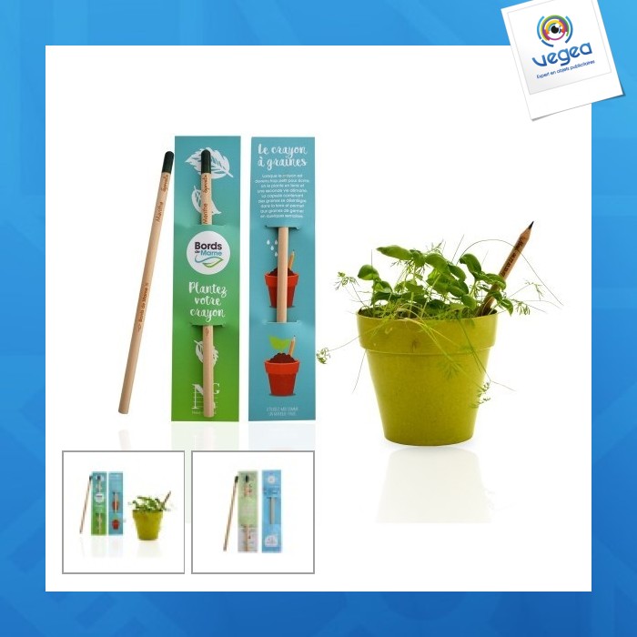 Crayon à papier à planter avec capsule de graines