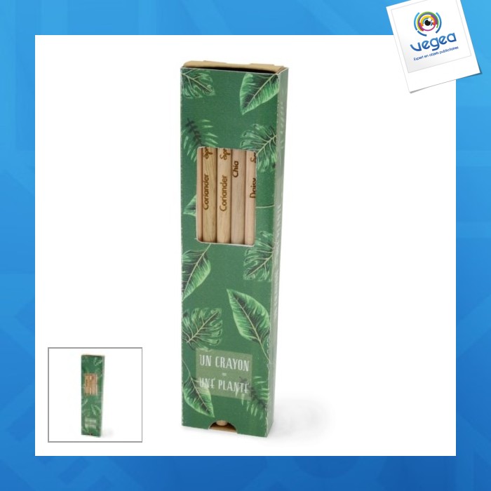 Coffret 6 crayons à graines couleur