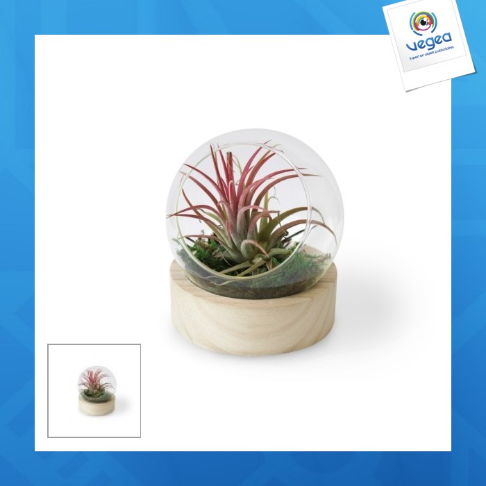 Mini terrarium promotionnel globe avec socle en bois