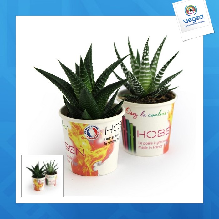 Petit pot carton plante dépolluante personnalisable écolo