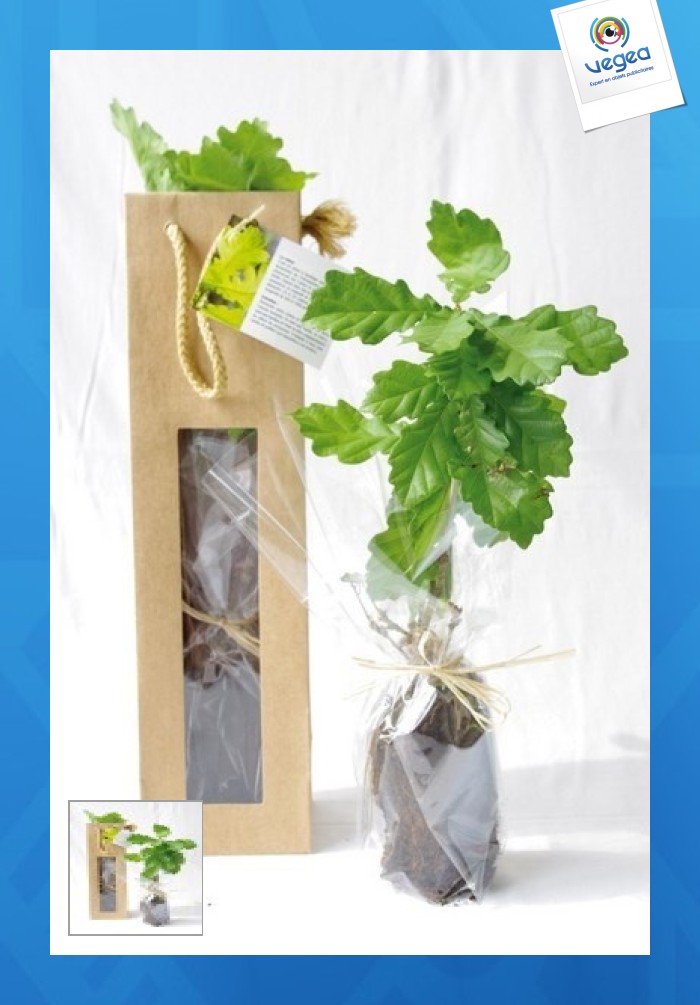 Plant d'arbre en sac personnalisé à semer