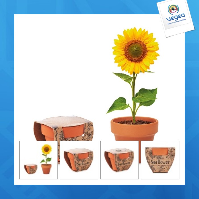 Pot graines de tournesol