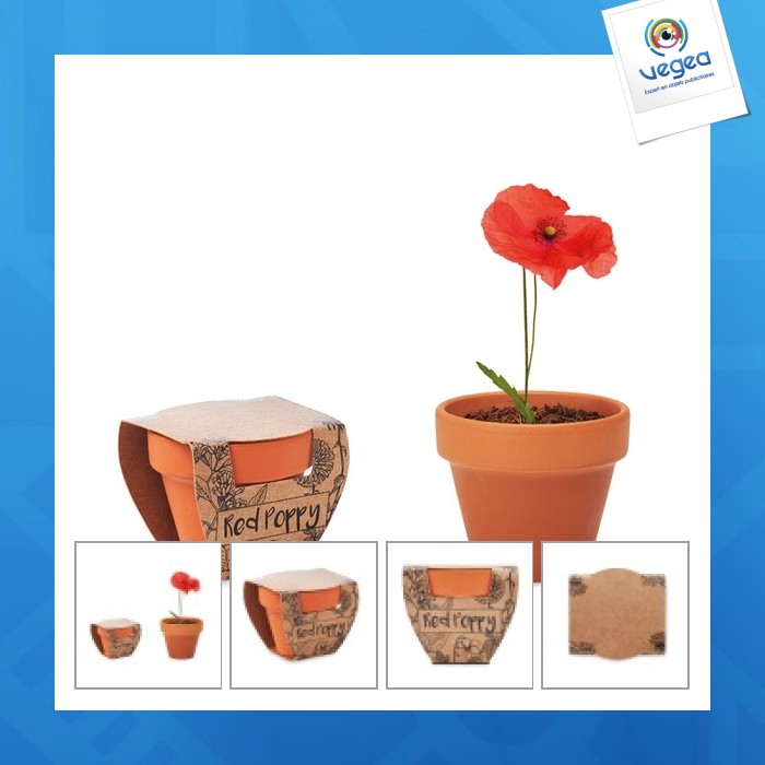 Pot graines de coquelicot