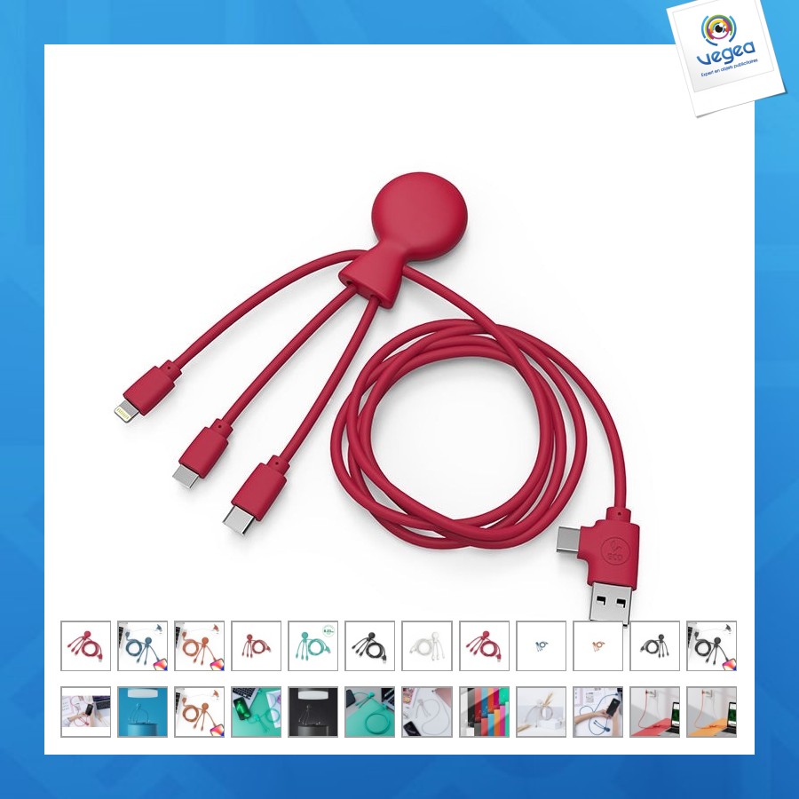 Mr bio long - câble personnalisé d'1m avec une double entrée type c/usb