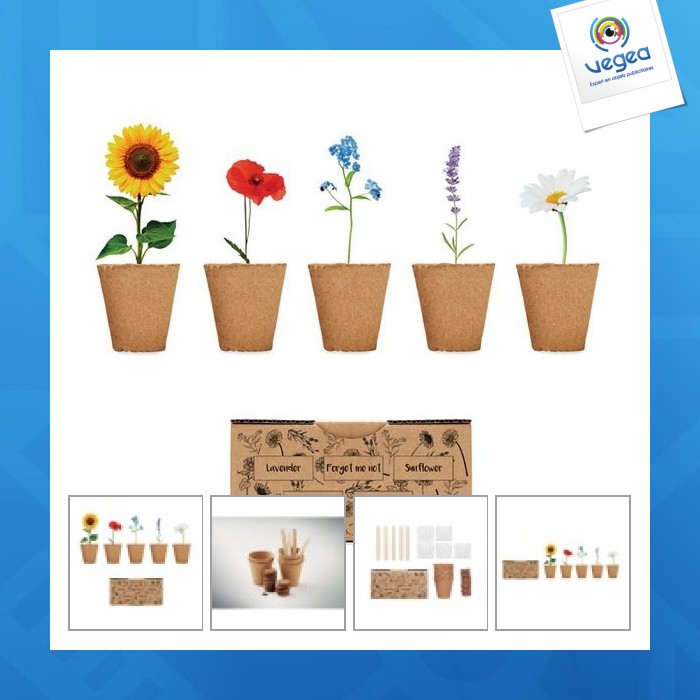  kit de culture de fleurs