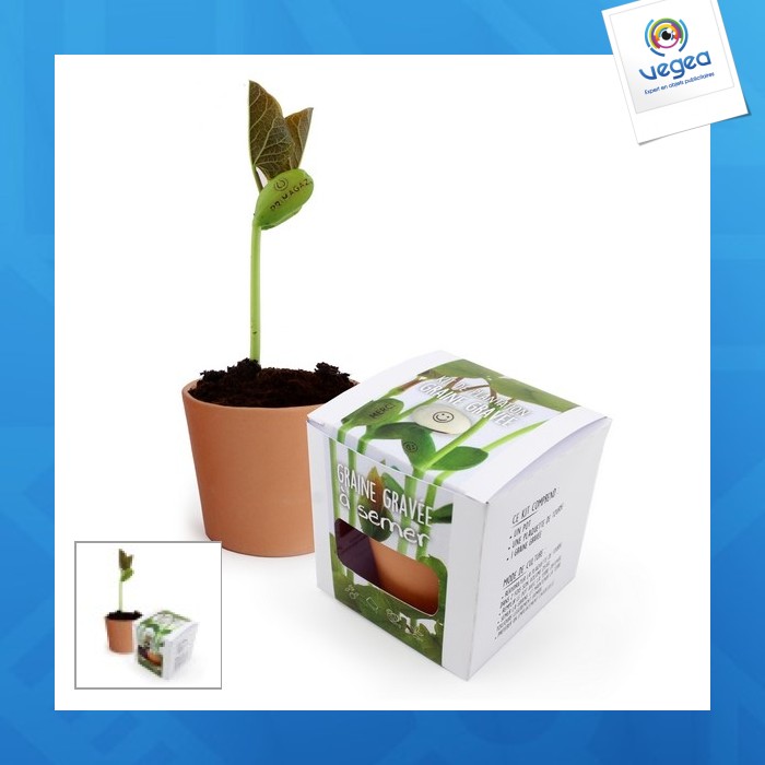 Kit de plantation graine gravée