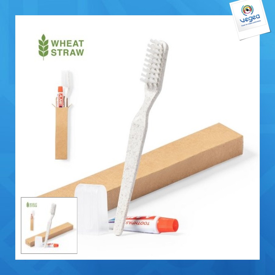 Set dental kit