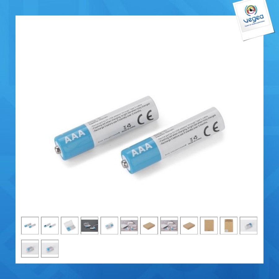 Set de piles avec logo rechargeables aaa 450mah